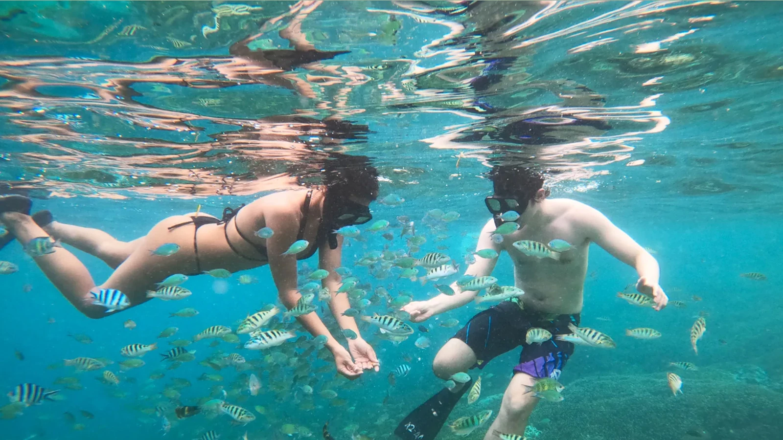 Snorkeling Gili Trawangan